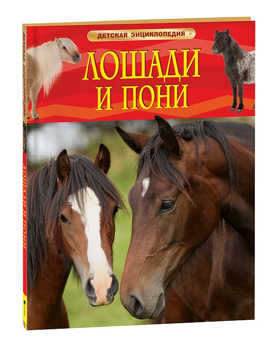 Лошади и пони. Детская энциклопедия